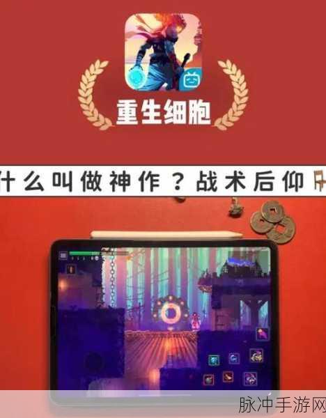 重生细胞攻略,双匕首5与电鞭3的终极对决