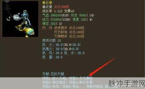 大话西游手游垂云叟加点全攻略，打造你的强力神兽伙伴