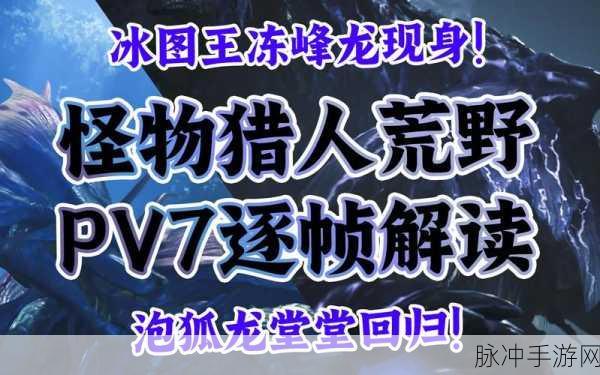 怪物猎人超特防御率,守护荣耀的坚固屏障深度解析