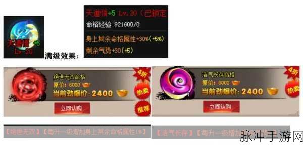 神仙道命格攻略,揭秘如何高效刷出极品命格