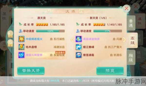 大话西游手游坐骑洗炼价格全面剖析，深度挖掘洗炼投入与回报的奥秘