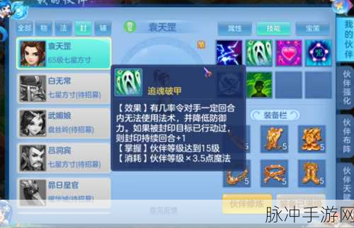 神武手游天宫竞技场,解锁最佳伙伴搭配策略