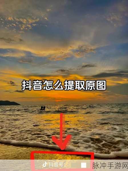 抖音手游攻略,详解如何在抖音中发送图片给好友
