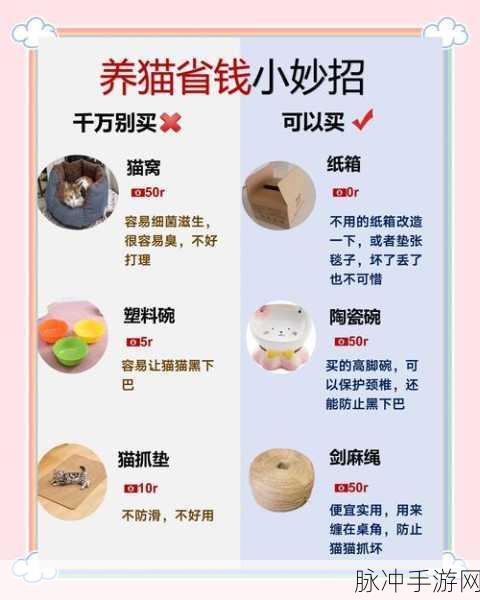 小森生活猫爪石兑换全攻略，解锁猫猫新玩具的秘密
