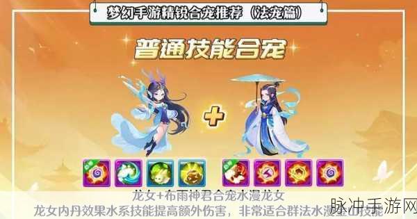 梦幻西游手游太极护法深度解析，技能搭配与实战应用