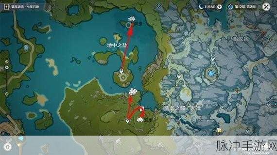 原神夜泊石获取攻略,全面解析获得夜泊石的方法