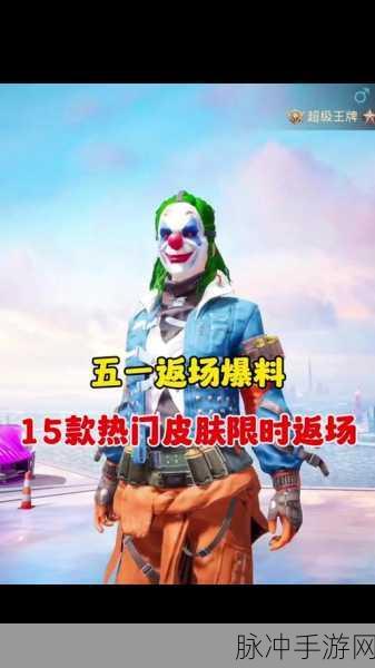 和平精英深度攻略，详解踢人机制与操作指南