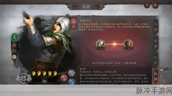 三国志战略版深度攻略,关兴张苞组合实战解析与搭配建议