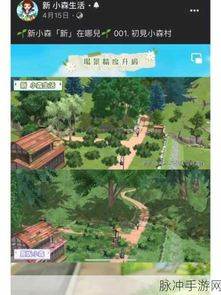 小森生活松纹木位置与获取方法全攻略