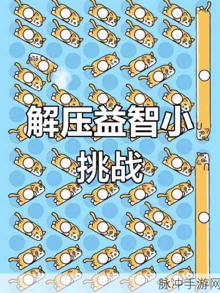 亦大亦小游戏下载,挑战思维极限的休闲解谜之旅