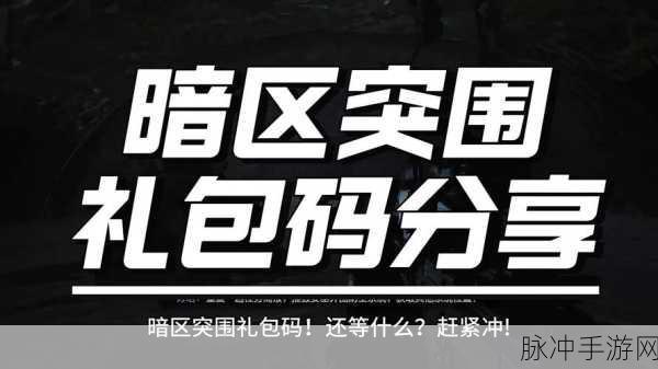 暗区突围最新CDK兑换码领取全攻略