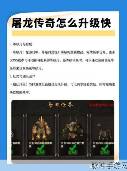 原始小伙伴之龙族揭秘,传奇兵种的崛起与传承深度攻略