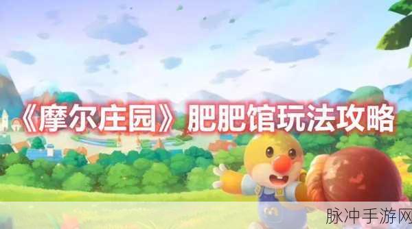摩尔庄园肥肥馆探秘,机械工坊高效探矿全攻略