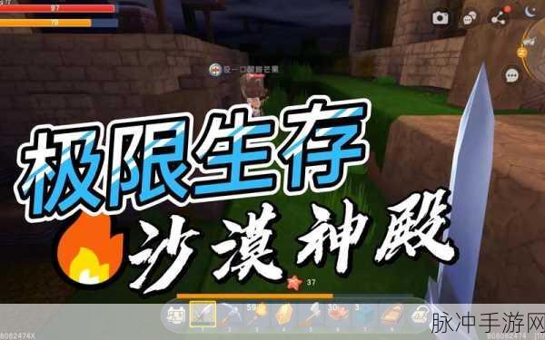 迷你世界探险指南,揭秘沙漠神殿的坐标与寻宝之旅
