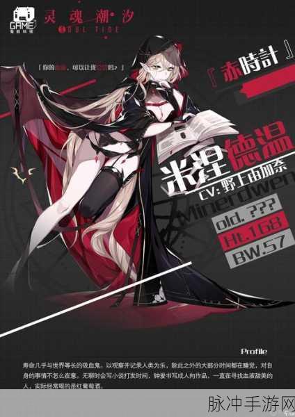 灵魂潮汐深度解析,阿卡赛特角色介绍