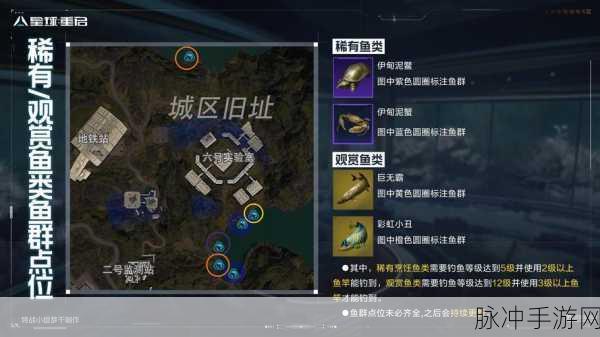 星球重启钓鱼震动关闭全攻略，享受宁静垂钓之旅