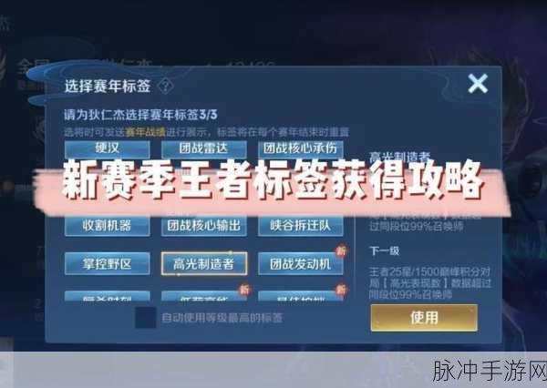 王者荣耀国标标签直播全攻略，手游公司的专业指南