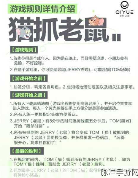 猫和老鼠手游深度攻略，老鼠如何巧妙躲避汤姆猫的攻击？