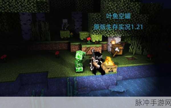 探索真实世界,我的世界地球生存视角下的现代社会生态与人类文明发展深度剖析