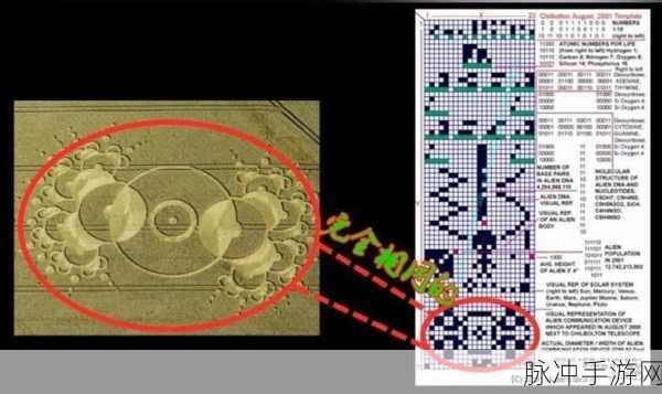 跨越星际之门,异星生存挑战全攻略