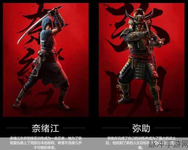 刺客信条影,多款商城内购道具深度解析与攻略