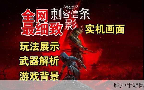 刺客信条影,多款商城内购道具深度解析与攻略