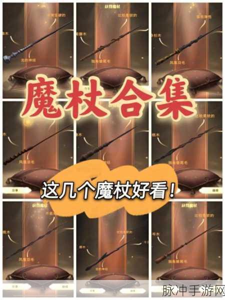 哈利波特:魔法觉醒深度攻略,如何查看你的魔杖?