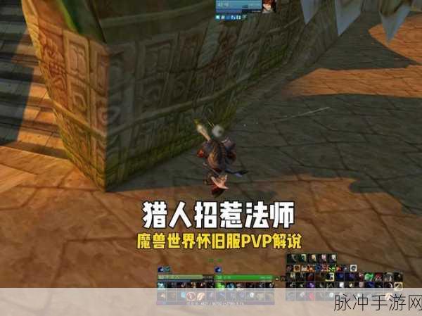 魔兽世界怀旧服猎人PVP战场深度攻略