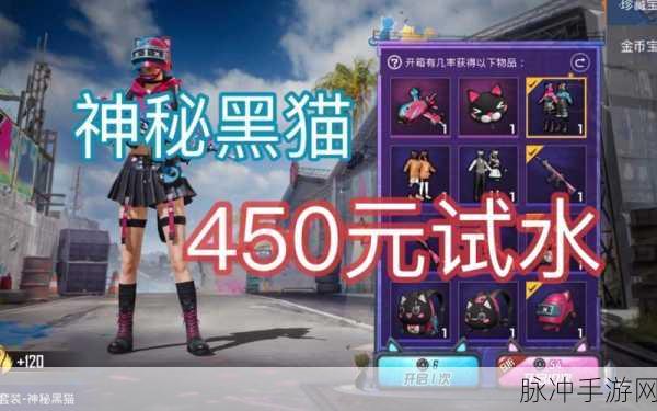 和平精英新皮肤爆料，神秘黑猫与顽皮月兔共舞战场全解析
