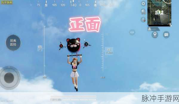和平精英新皮肤爆料,神秘黑猫与顽皮月兔共舞战场全解析