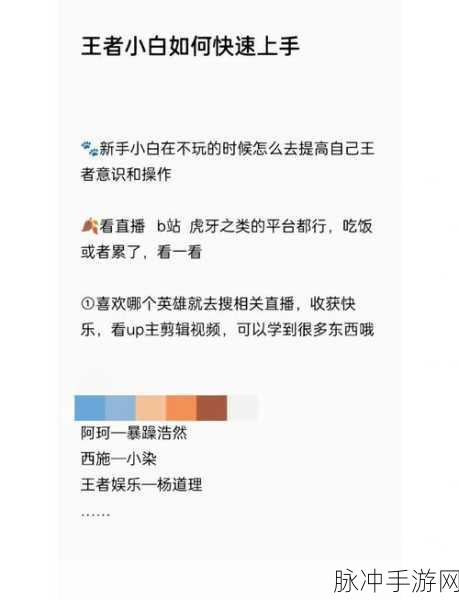 快手玩转王者荣耀直播，从新手到高手的全面蜕变攻略