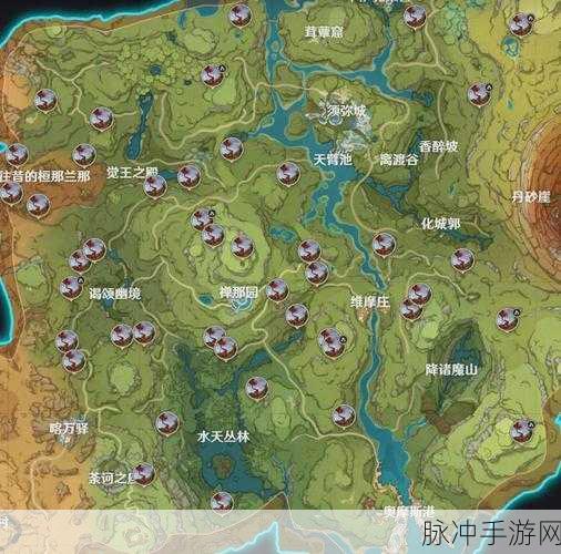 原神死域位置全解析——须弥死域位置图文一览