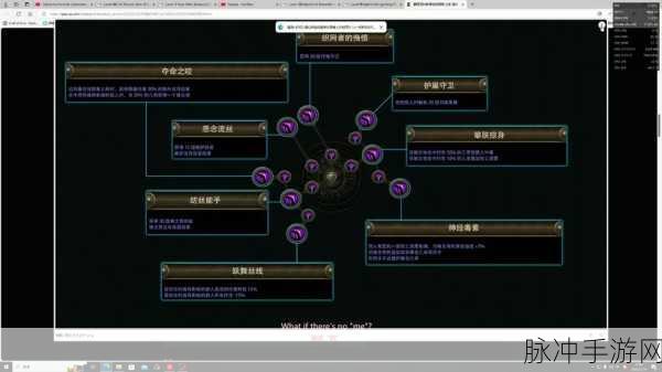 流放之路属性之秘，解锁角色潜力的正确顺序
