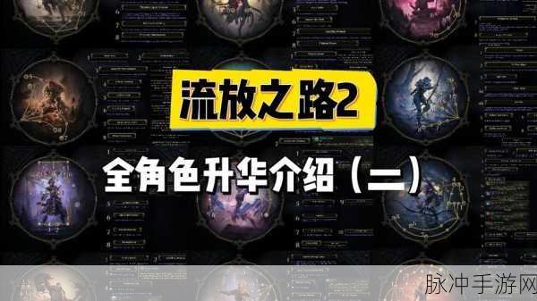 流放之路属性之秘,解锁角色潜力的正确顺序
