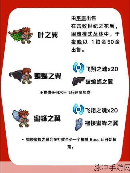 泰拉瑞亚深度攻略,饰品修饰语解析,你的战斗利器之选全解析