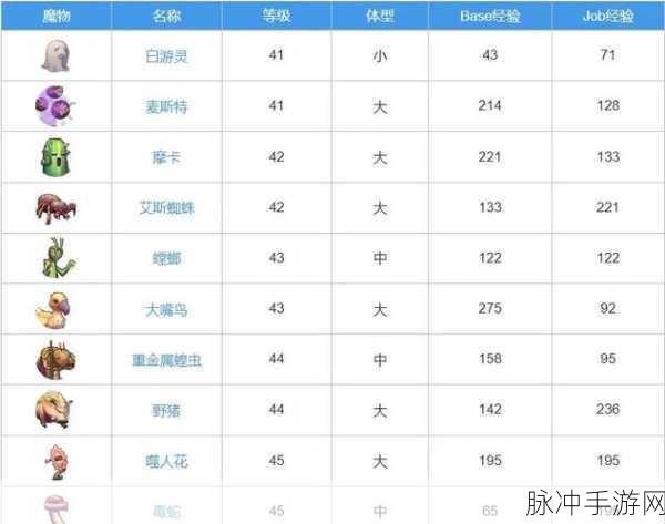 仙境传说新启航,全面解析抓宠攻略