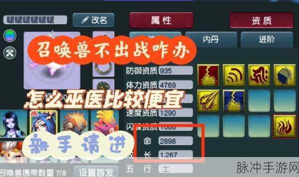 梦幻西游手游攻略,如何为召唤兽开启多套装备栏