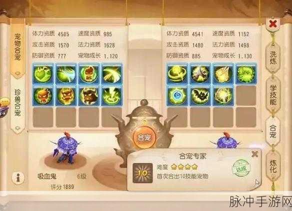 梦幻西游手游深度攻略,合宠资质的秘密与惊喜