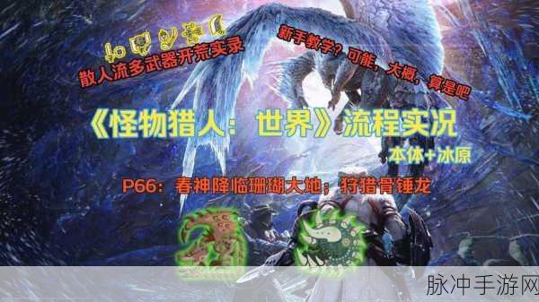 怪物猎人世界手游攻略,揭秘骨锤龙弱点与战斗策略
