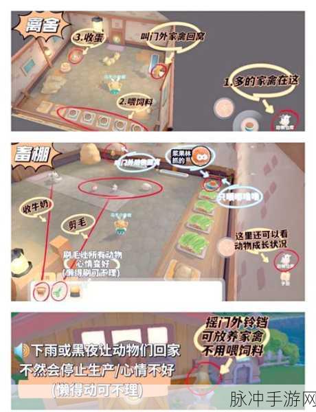 摩尔庄园手游记者拍照全攻略,捕捉庄园美好瞬间