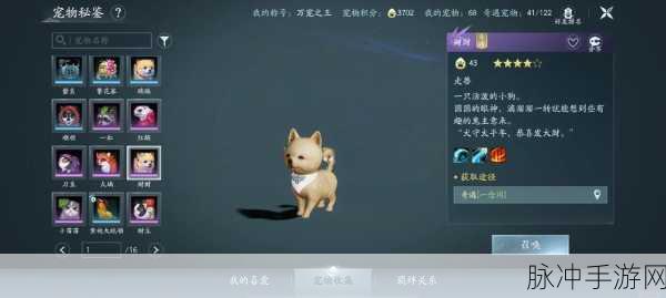 剑网3念旧林宠物奇遇全攻略,解锁稀有宠物雀食的必备步骤与技巧