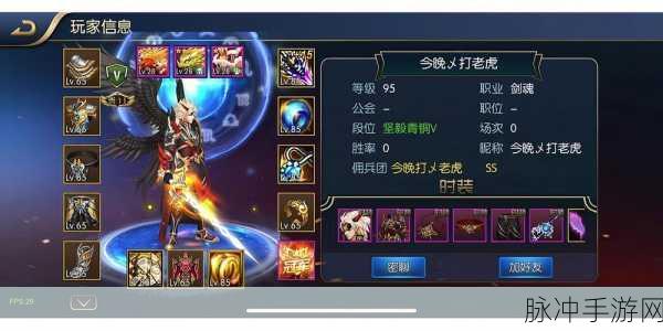 阿拉德之怒宠物战力排行榜及获取秘籍，助你战力飙升！