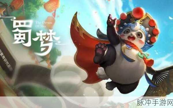 王者荣耀梦奇熊猫皮肤深度解读，魅力与特色全剖析