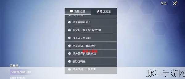 和平精英语音包设置秘籍,全面剖析语音包设置位置与方法流程