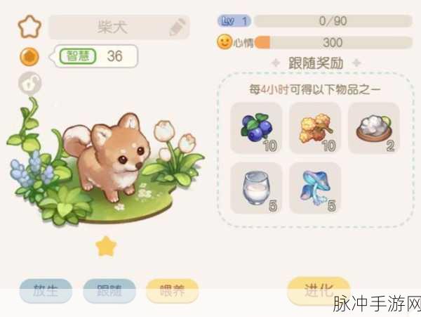奥比岛梦想国度三星宠物捕捉全攻略,探寻它们的神秘踪迹