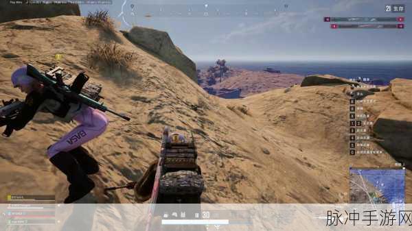 绝地求生大逃杀,全面攻略——如何有效提升FPS