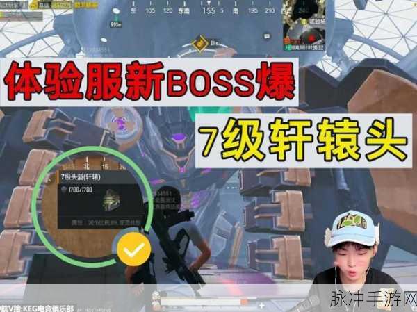 和平精英手游攻略,详解头盔隐藏方法与实战应用