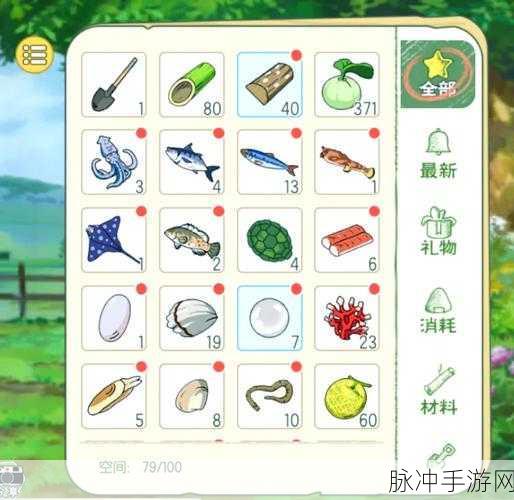 小森生活海岛资源全解析，探索无尽海域的宝藏