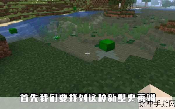 我的世界史莱姆物语坐骑探索，揭秘史莱姆坐骑的获取与骑乘