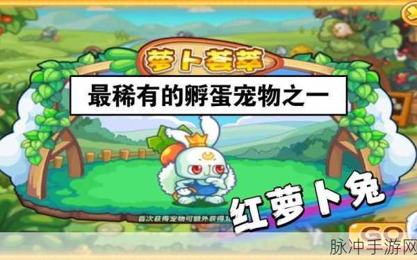 洛克王国手游攻略,探寻红萝卜兔的踪迹